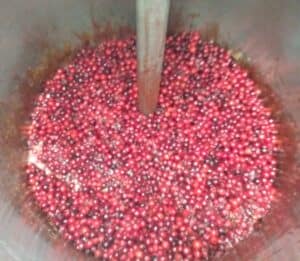 Organic Irish Sea Moss Juice. Ultra sound extraction.