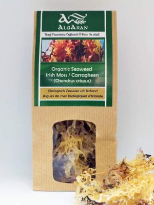 irish moss Organic Seaweed Irish Moss