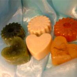 Organic Seaweed Soap Shampoo