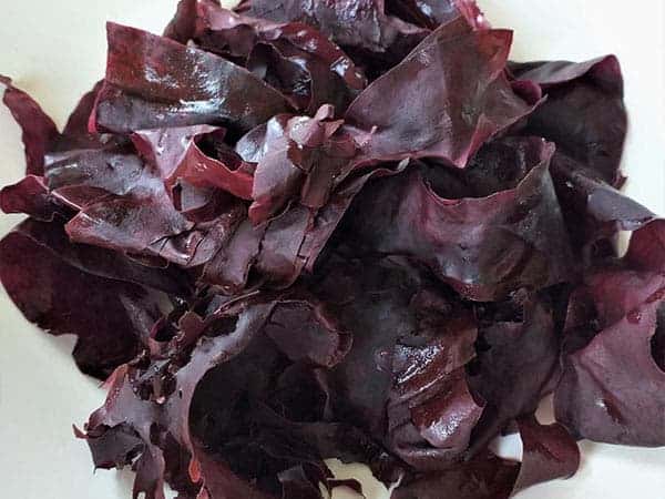 dulse