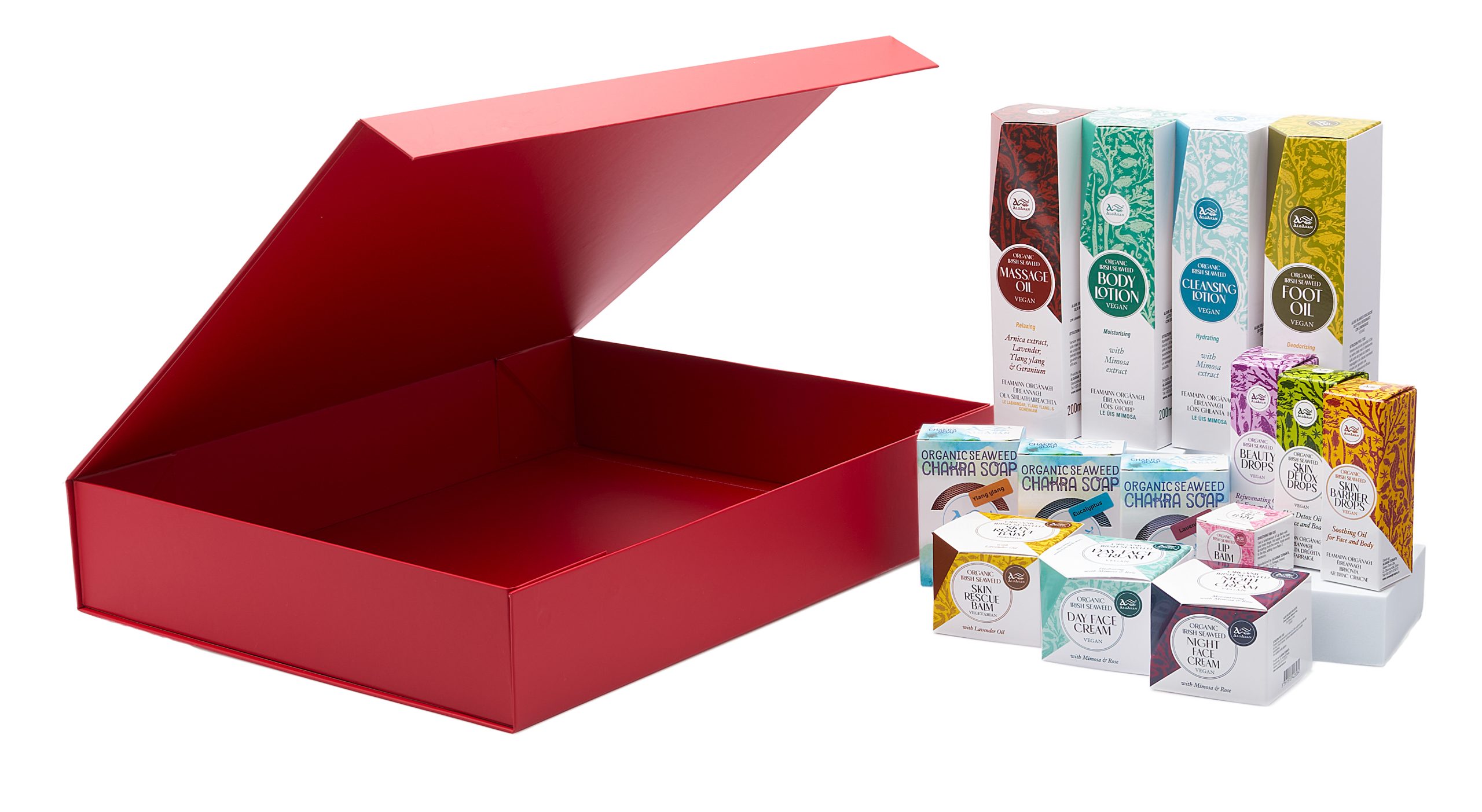 Animation main frame